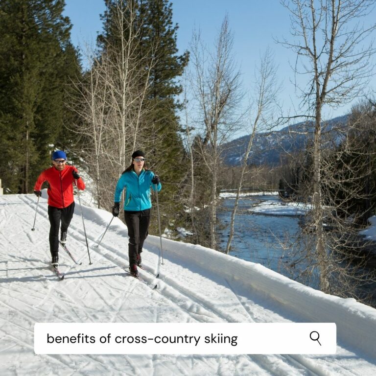 NordicTrack Pro Skier crosscountry ski exercise machine