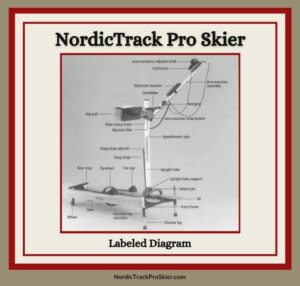 NordicTrack Pro Skier Labeled Parts Diagram